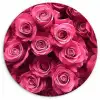 Rozen - Pink - Bloem Wandcirkel kunststof plaat 5mm dik klein -3d