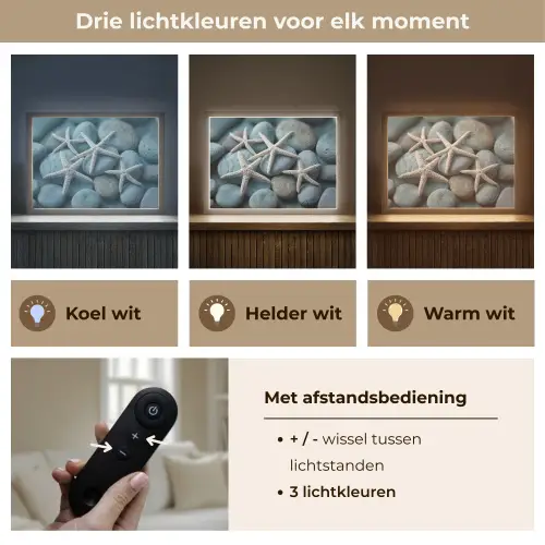 Zeesterren - Stenen - Wit Light Box met batterij (Wandlamp) middel -USP_lichtkleurNL
