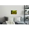 Bomen - Steen - Bos - Natuur Muursticker klein -slaapkamer