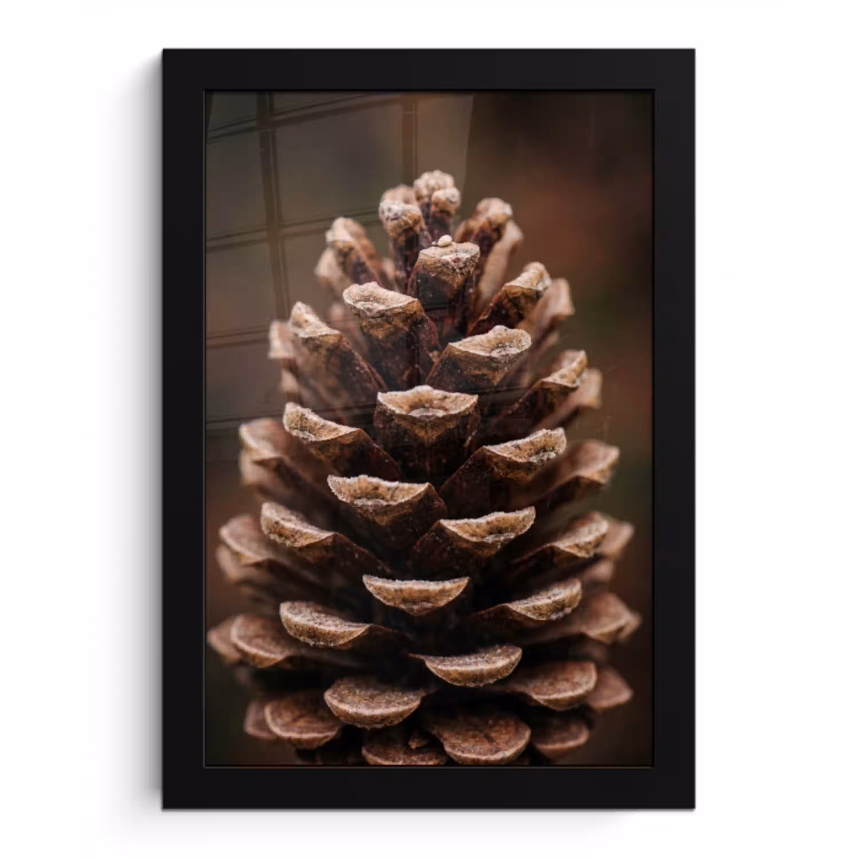 Dennenappel - Bos - Herfst - Bruin - Sfeervol fotolijst zwart zonder passe partout klein -3d