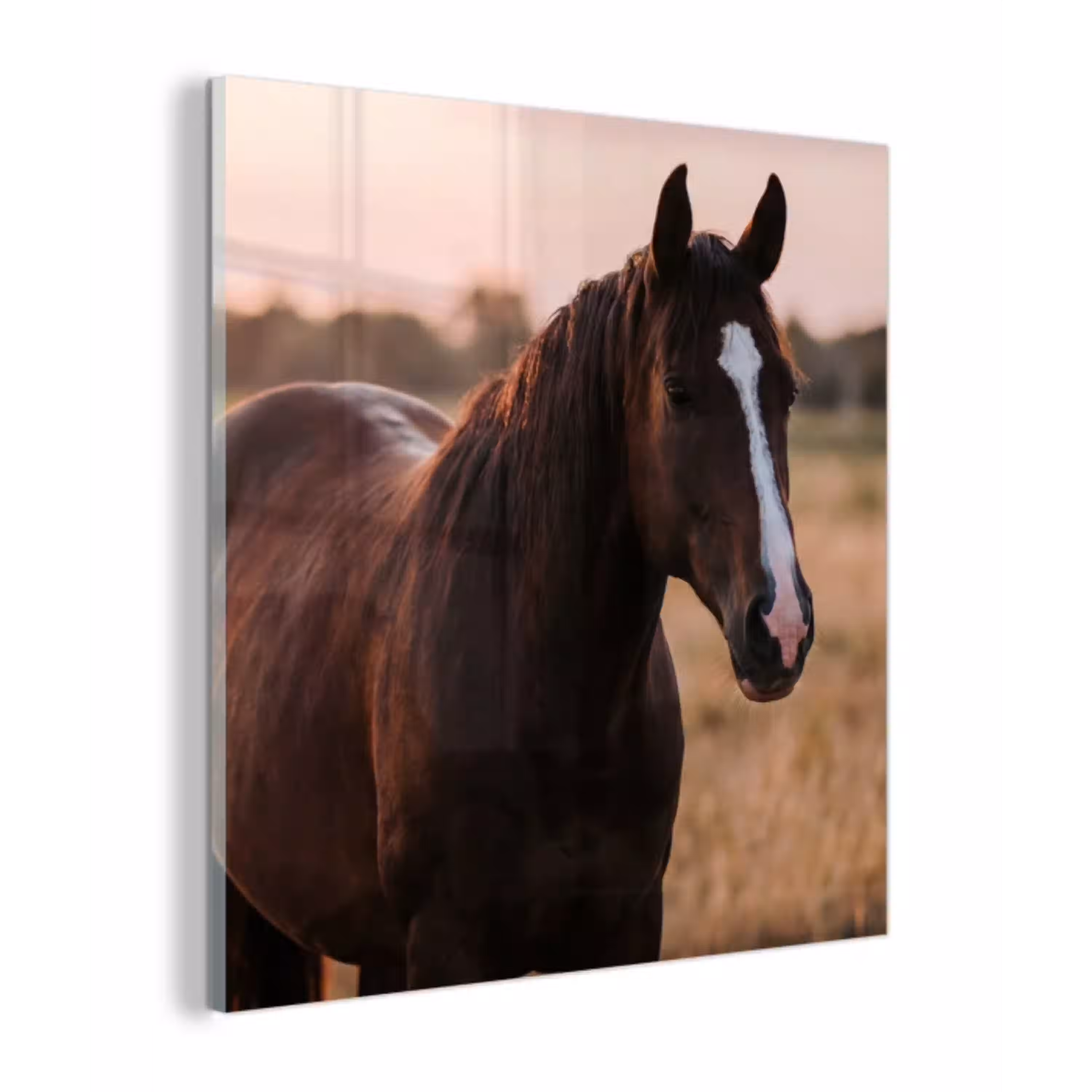 Paard - Zonsondergang - Bruin plexiglas 5mm klein -z3d