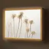 Droogbloemen - Natuur - Botanisch Light Box met batterij (Wandlamp) middel -z3d_website