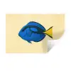 Blauw - Dory - Vis - Staartvin Muursticker klein -3d