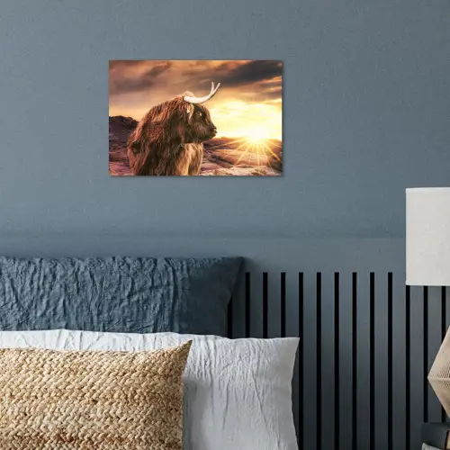 Schotse hooglander - Zon - Horizon - Koe - Dieren poster papier klein -sfeer2