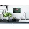 Anjer - Roze - Bloemblaadjes Muursticker klein -keuken