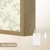 Klassiek - Vogels - Groen Light Box met batterij (Wandlamp) middel 907 -USP_websiteoplaadbaarNL