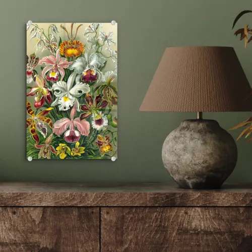 Planten - Natuur - Bloemen - Ernst Haeckel plexiglas 5mm klein -sfeer3