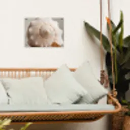 Schelp - Detail - Beige tuinposter los doek klein -sfeer7