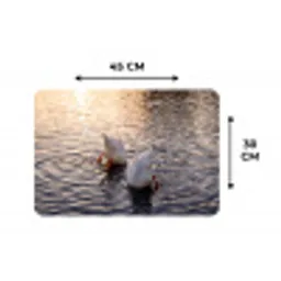 Eenden - Water - Natuur Placemat vinyl groot -specs
