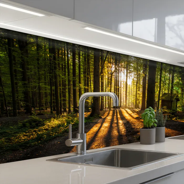 Zon - Bomen - Bos - Landschap - Natuur keuken achterwand 2 middel -3d_schuin