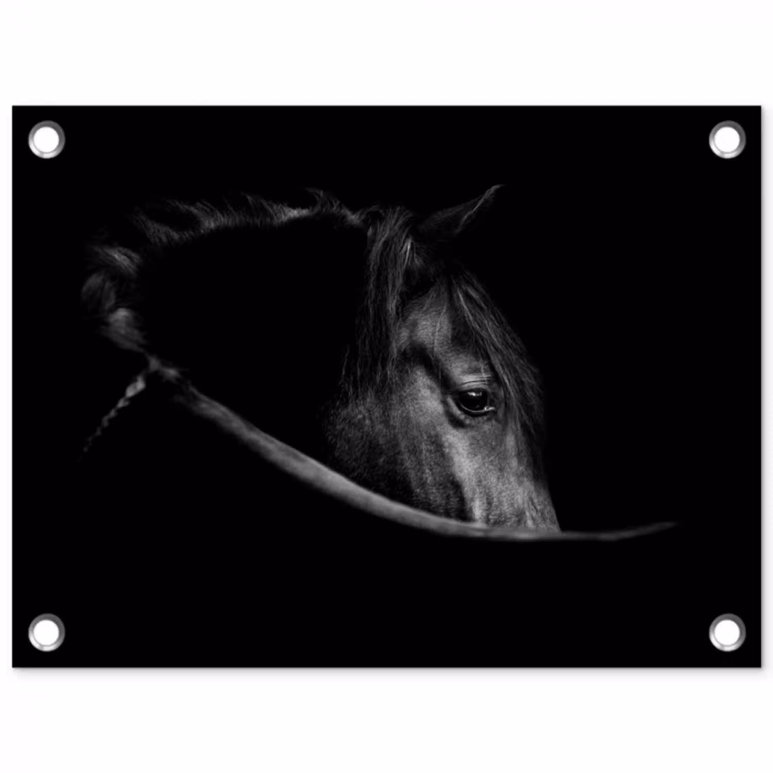Paarden - Portret - Zwart - Dieren tuinposter los doek klein -3d