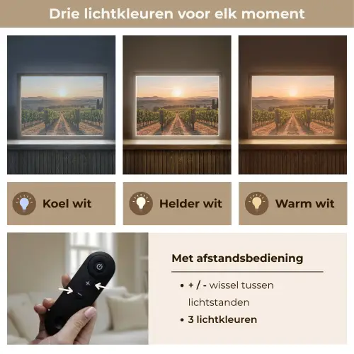 Wijngaard - Zonsondergang - Landschap Light Box met batterij (Wandlamp) middel -USP_lichtkleurNL
