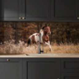 Paard - Bruin - Gras keuken achterwand 2 middel -sfeer1