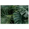Planten - Jungle - Bladeren - Tropisch poster papier klein -3d