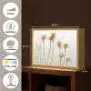 Droogbloemen - Natuur - Botanisch Light Box met batterij (Wandlamp) middel -USP_websiteoverzichtNL