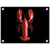 Kreeft - Glossier Rood - Zwart tuinposter los doek klein -3d