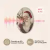 Kerstman - Rendier - Kerst - Christmas Akoestische PET Vilt - Rond klein -USP_NL