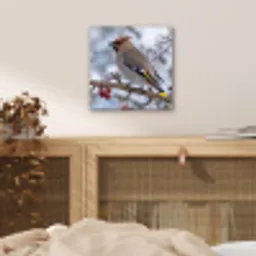 Pestvogel - Bessen - Winter - Natuur aluminium wit klein -sfeer3