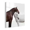 Paard - Modern - Balans plexiglas 5mm klein -z3d