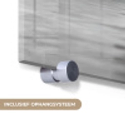 Zwanen - Hart - Zwart - Wit plexiglas 5mm klein -zzsysteem_NL