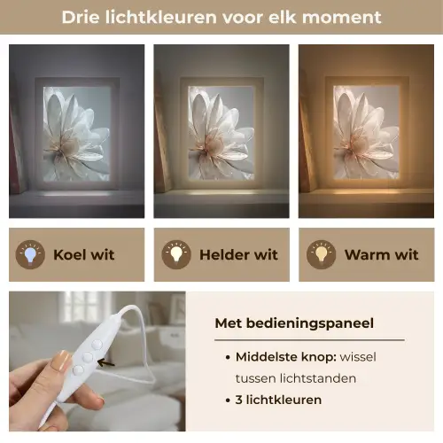 Bloem - Wit - Neutraal Light Box met kabel (Tafellamp) klein -USP_lichtkleurNL