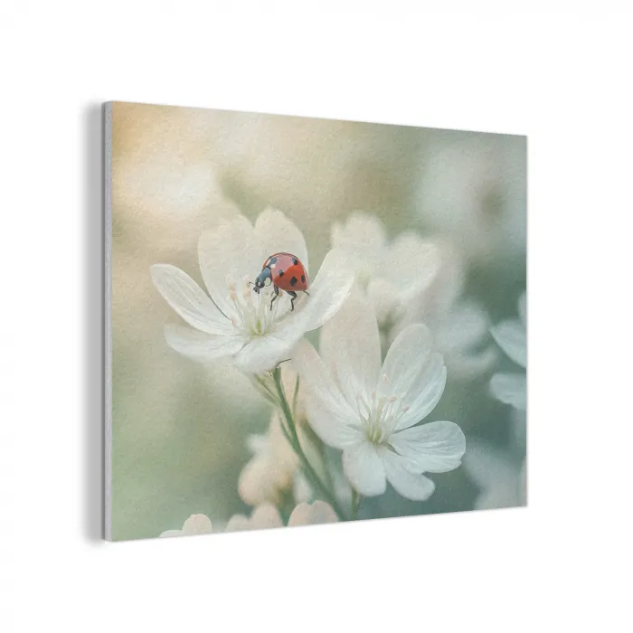 Lieveheersbeestje - Bloemen - Wit PET vilt klein -3d