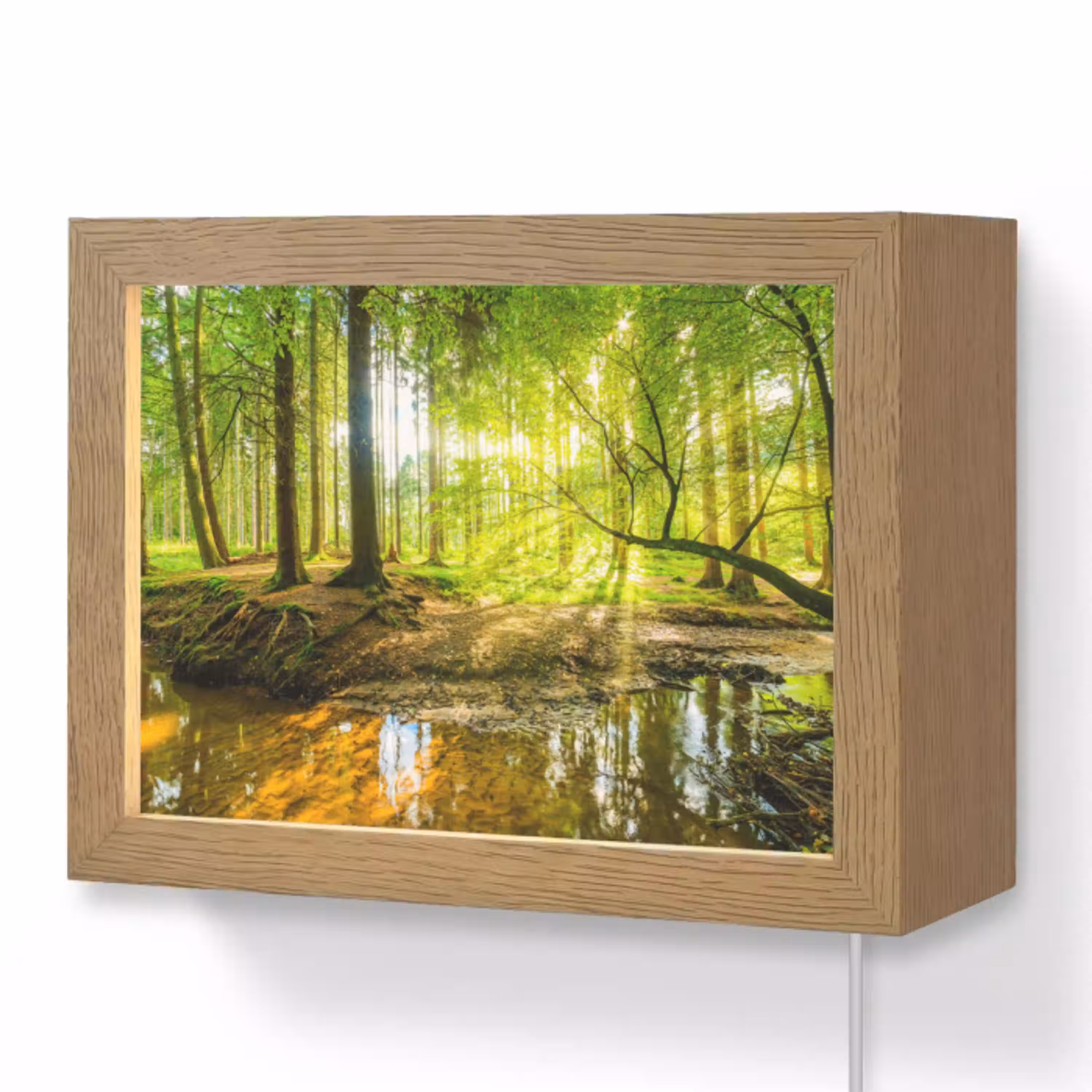 Bos - Landschap - Water - Bomen - Zon - Groen - Natuur Light Box met kabel (Wandlamp) klein -3d