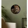 Wilde dieren - Panter - Portret - Zwart - Dieren Wandcirkel behangsticker klein -sfeer2