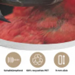 Ara - Portret - Rood Akoestische PET Vilt - Rond klein -closeup_DE