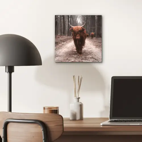 Schotse hooglander - Bos - Koe - Dieren - Natuur aluminium wit klein -sfeer5