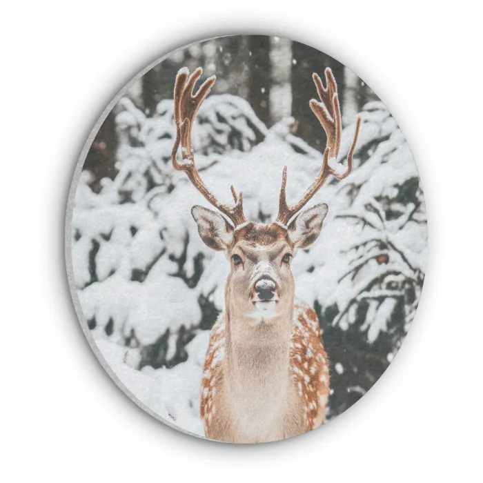 Hert - Sneeuw - Winter - Bos - Dieren Akoestische PET Vilt - Rond klein -3d