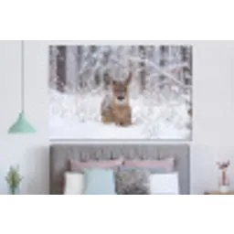 Hert - Sneeuw - Bos - Dieren - Vertederend forex 5mm xxl -slaapkamer