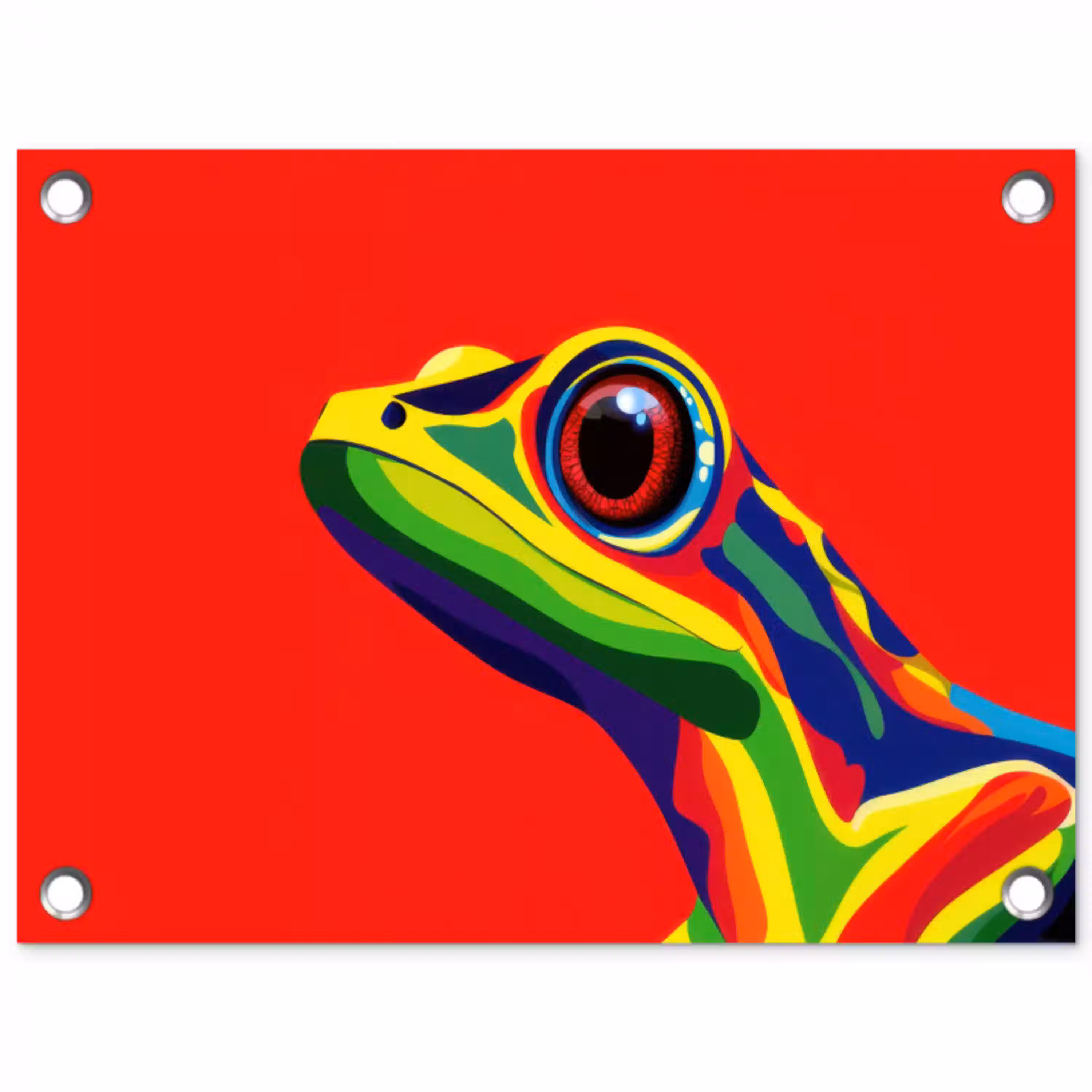 Kikker - Kleurrijk - Strepen - Ogen tuinposter los doek klein -3d