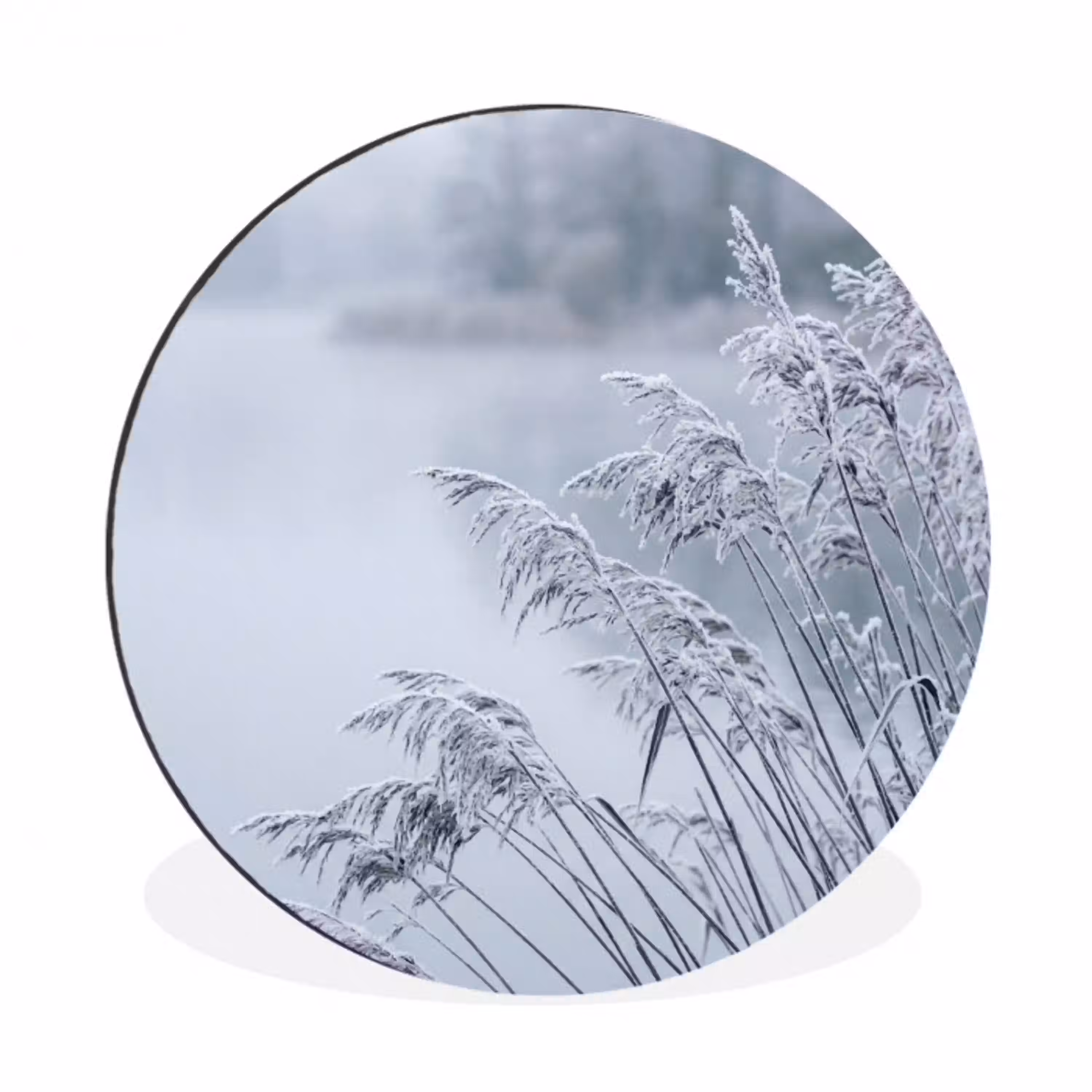 Riet - Bevroren - Winter - Natuur Wandcirkel aluminium klein -3d
