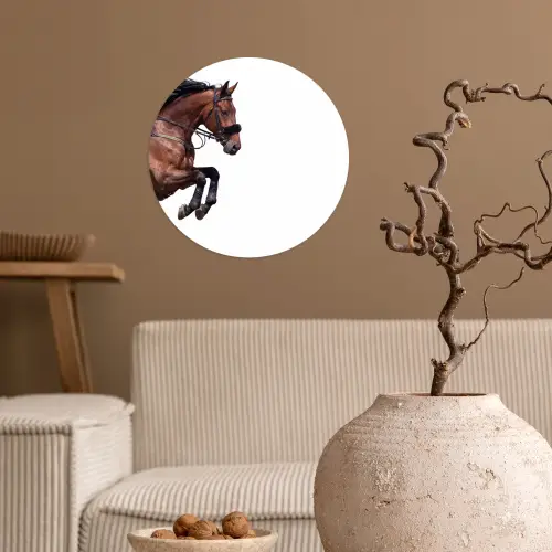 Paard - Springen - Modern Wandcirkel behangsticker klein -sfeer1