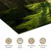 Bomen - Bos - Mos - Planten - Zon - Natuur poster papier klein -closeup_NL