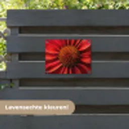 Close up - Bloem- Rood tuinposter los doek klein -sfeer3