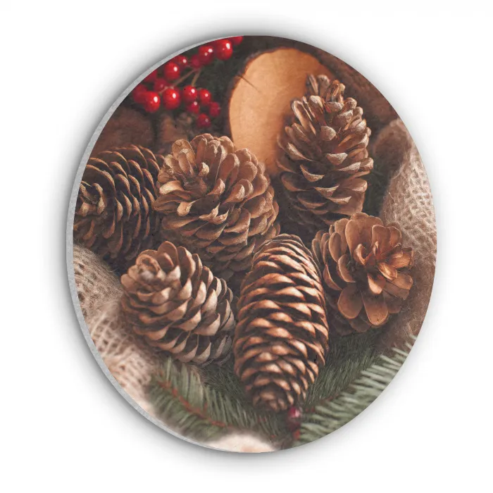 Dennenappels - Boom - Winter - Natuur - Bruin Akoestische PET Vilt - Rond klein -3d