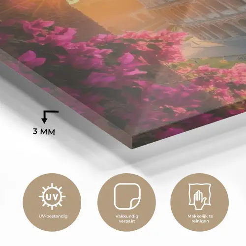 Colosseum - Rome - Roze Bloemen plexiglas 5mm klein -sfeer2