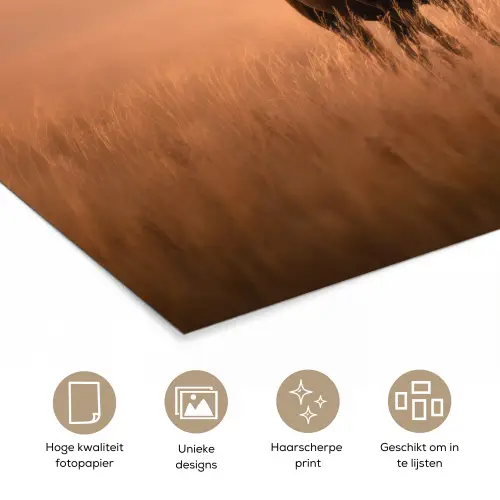 Paard - Grasveld - Zonsondergang poster papier klein -closeup_NL
