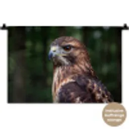 Buizerd - Roofvogel - Natuur - Bruin Wandkleed katoen klein -t3d_DE