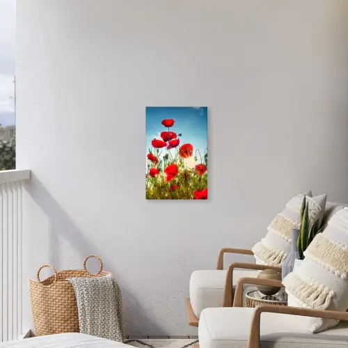 Rode klaprozen tegen de hemel Tuinposter op houten frame 2 cm dik klein -sfeer1