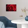 Rood - Roos - Romantisch poster papier klein -sfeer3