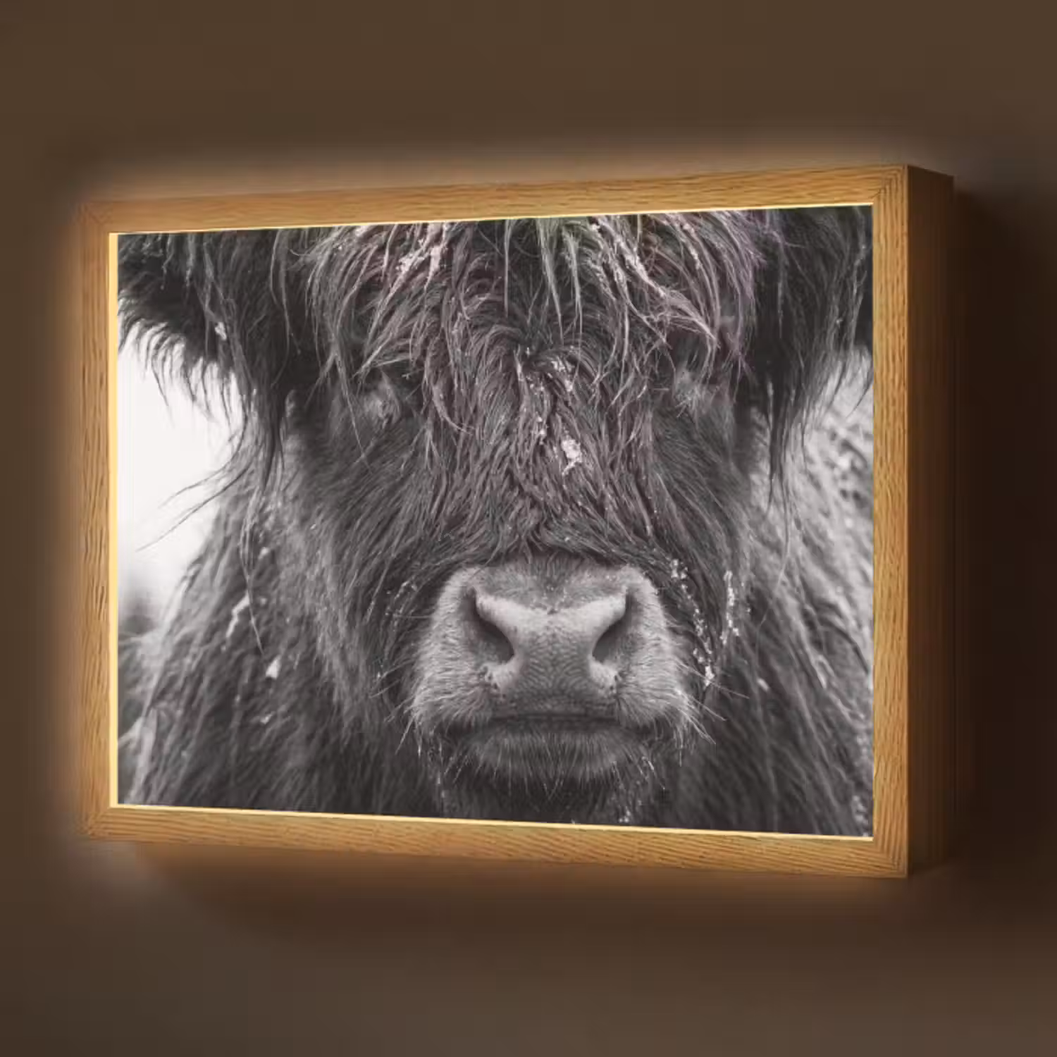 Lightbox - Wandleuchte - Schottischer Highlander - Schwarz - Weiß - Schneeflocken