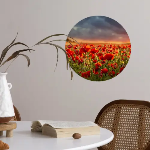 Zonsondergang - Klaprozen - Rood - Bloemen - Veld - Natuur Wandcirkel behangsticker klein -sfeer3