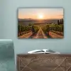 Wijngaard - Zonsondergang - Landschap canvas 2cm klein -sfeer4