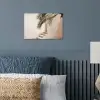 Palmboom - Schaduw - Trap - Beige poster papier klein -sfeer2