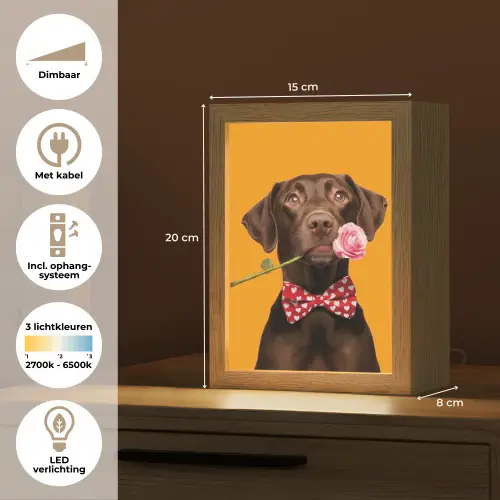 Hond - Oranje - Roos - Valentijn Light Box met kabel (Tafellamp) klein -USP_NL