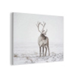Rendier - Gewei - Sneeuw - Winter PET vilt klein -3d