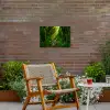 Jungle - Water - Bladeren - Zon - Natuur Tuinposter op houten frame 2 cm dik klein -sfeer3